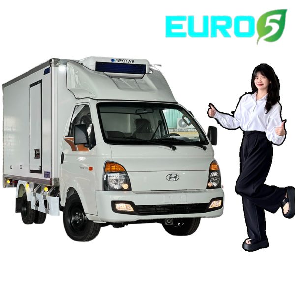 Hyundai H150 Euro 5